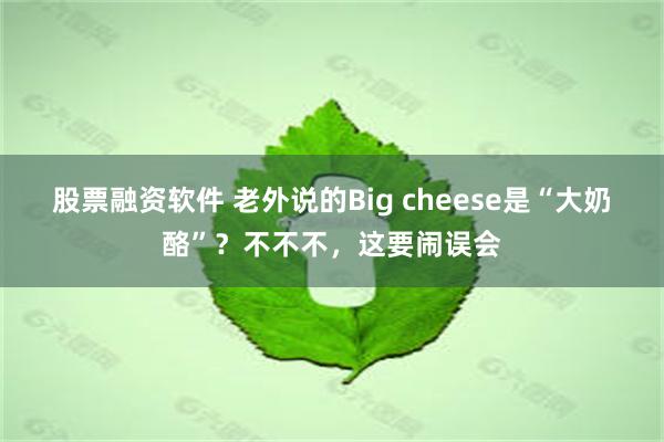 股票融资软件 老外说的Big cheese是“大奶酪”？不不不，这要闹误会