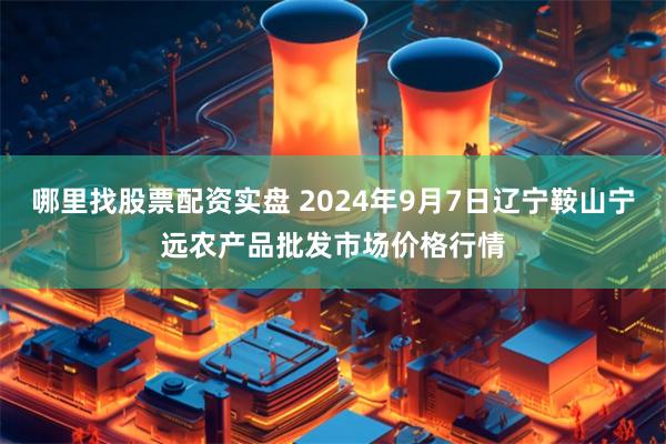 哪里找股票配资实盘 2024年9月7日辽宁鞍山宁远农产品批发市场价格行情