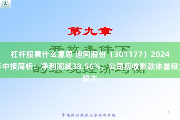 杠杆股票什么意思 迪阿股份（301177）2024年中报简析：净利润减38.56%，公司应收账款体量较大