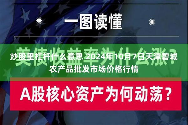 炒股里杠杆什么意思 2024年10月7日天津碧城农产品批发市场价格行情