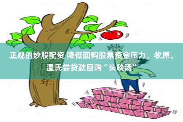 正规的炒股配资 降低回购股票资金压力，牧原、温氏尝贷款回购“头啖汤”